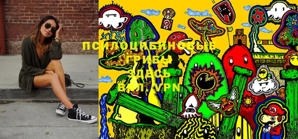 индика Киренск
