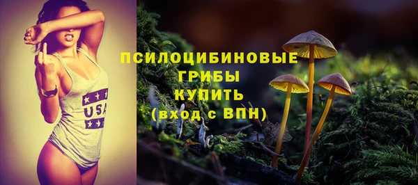 стафф Карталы