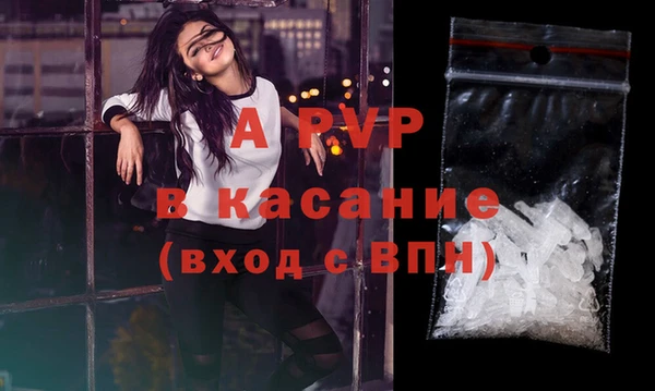 индика Киренск