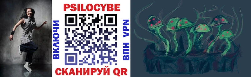 Псилоцибиновые грибы мухоморы где найти Менделеевск