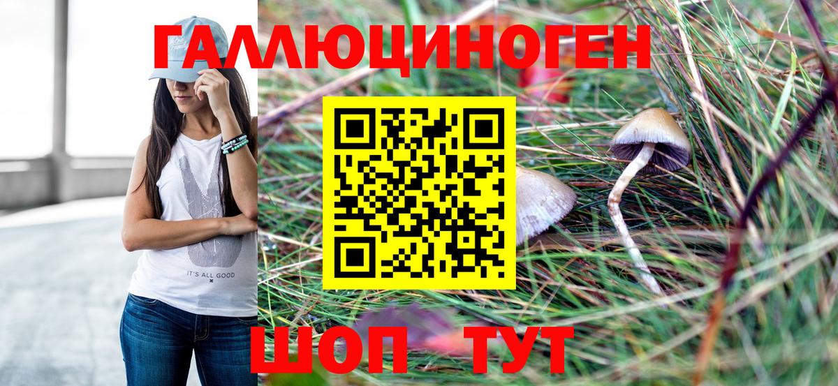 Меф кристаллы  ГАШИШ  КОКАИН  Экстази  Менделеевск  Меф МЯУ МЯУ  ГАШИШ  Бошки Шишки  Вход с VPN 