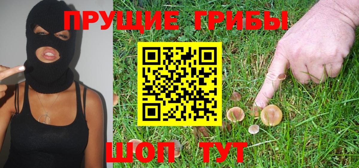 Менделеевск  Псилоцибиновые грибы GOLDEN TEACHER  Вход с VPN 